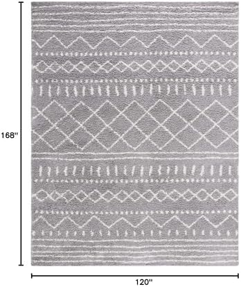 SAFAVIEH Area Rug 10x14 - Image 2