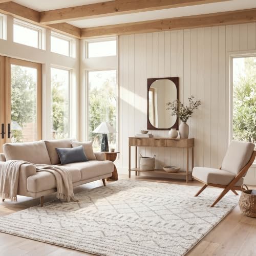 SAFAVIEH Arizona Shag Rug 8'x10', Soft Plush Boho Ivory & Beige ASG741A by Unknown