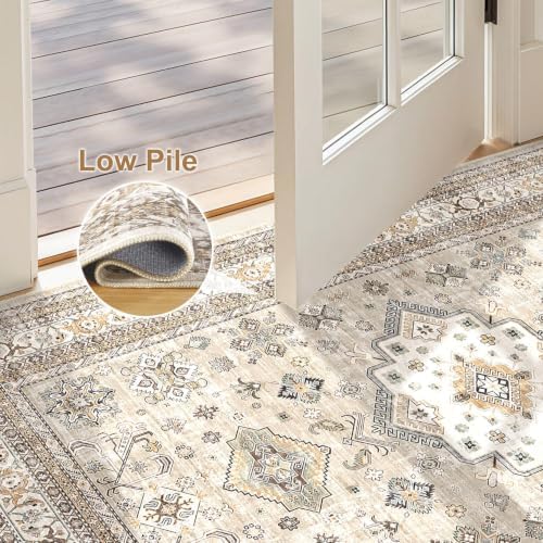 cotiled 3x5 Area Rug for Living Room, Traditional - Image 6