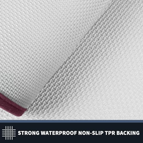 PURRUGS Dirt Trapping Indoor Door Mat - Image 4