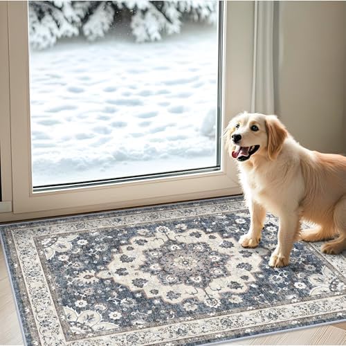Washable 2x3 Entryway Area Rug: Vintage Non-Slip Backing Rugs by HYHAOYUNLAI