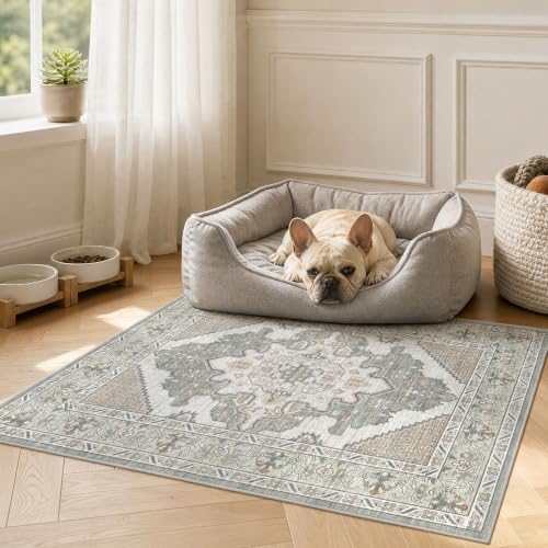Tortania Area Rug 2x3 Doormat - Image 7