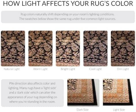 SAFAVIEH Area Rug 2x3 - Image 3