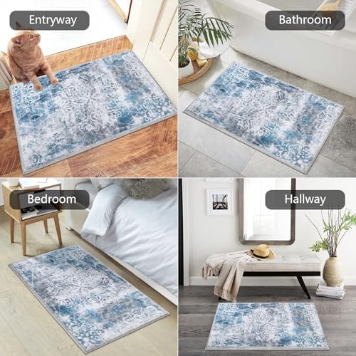 HEBE Indoor Door Mat 2'x3', Washable Welcome Mat - Image 5