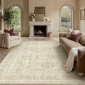 PureCozy Beige Area Rug 6x9 Vintage Traditional Distressed by PureCozy