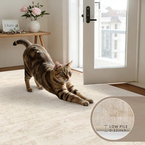 6x6 Area Rugs Living Room: Bedroom Washable Carpet Retro Beige - Image 7
