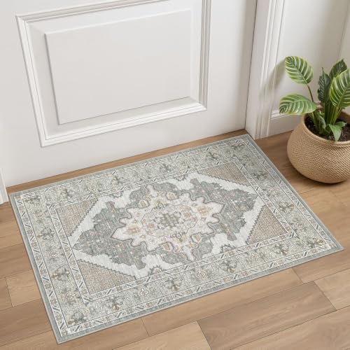Tortania Area Rug 2x3 Doormat by Tortania