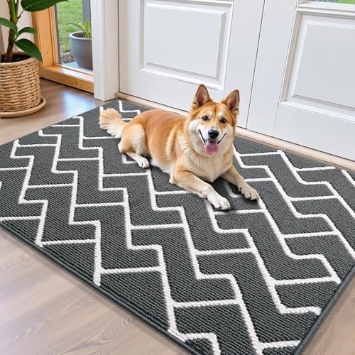 OLANLY Front Door Mat 40x32, Low-Profile Easy Clean Doormat by OLANLY