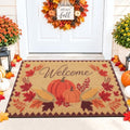 OLANLY Front Door Mat 47x32, Low Profile Doormat by OLANLY