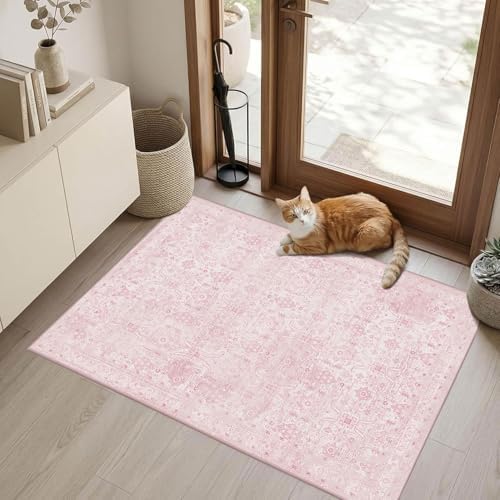 Rugxara 2x3 Entryway Rug Door Mat, Washable Samll Rug, Non Slip - Image 3