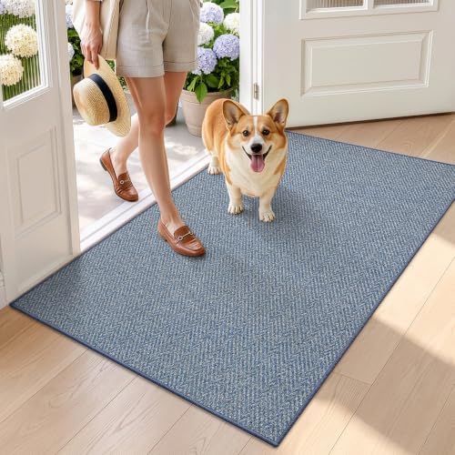 LUMI Ultra Thin Indoor Door Mat 36"x56", Entrance Doormat by LUMI