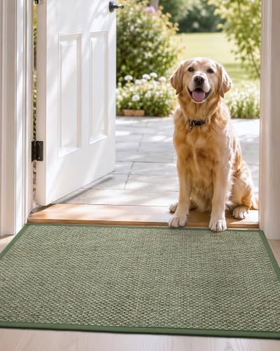 DEXI Ultra Thin Indoor Door Mat 24x36, Entrance Doormats - Image 2