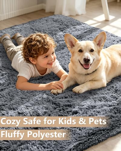 Smiry Area Rugs for Living Room Bedroom 5x7 ft, Fluffy Washable Carpet - Image 3