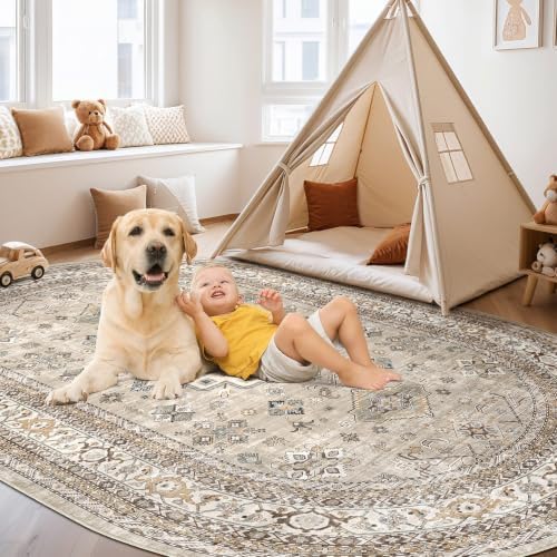 cotiled 8x12 Ellipse Area Rug for Living Room, Traditional - Image 4