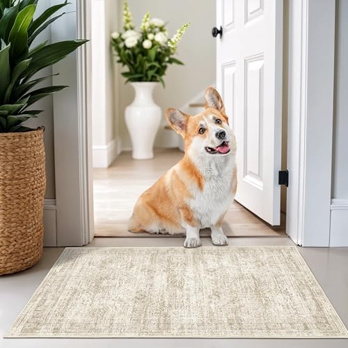 2x3 Rug Non Slip, Small Washable Entryway Rug - Image 3