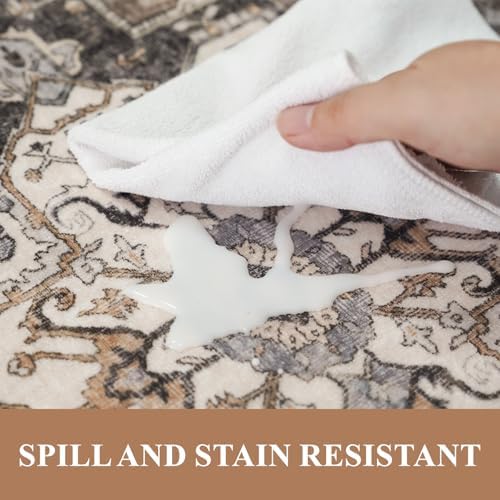 Washable Living Room Area Rug - Image 5