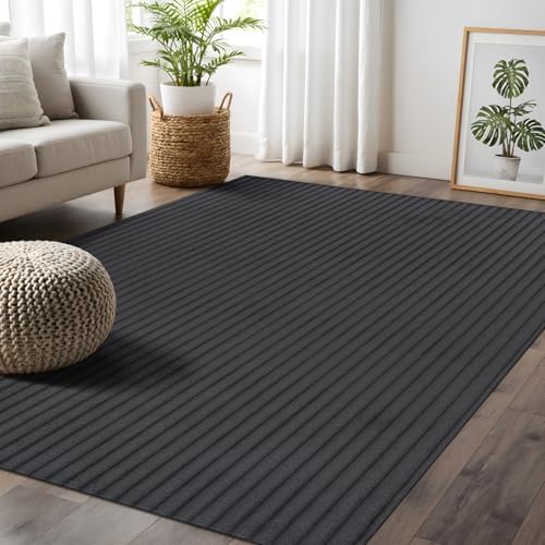 Fluffy Area Rug 4 x 6 Modern Durable Ultra Soft Plush Ribbed Indoor Rugs by BeverlyRug
