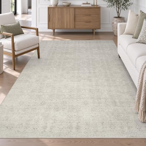 DCX Washable 4x6 Area Rug for Living Room - Image 3