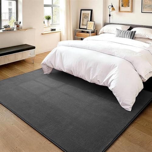 Vasofe Grey 6x9 Rugs, Large Area Rug - Image 2
