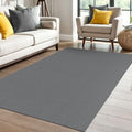 IOHOUZE Washable Area Rug 4x6 Non Slip Rubber Backed Woven Rugs by iOhouze