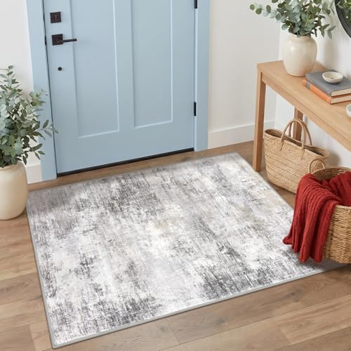 IOHOUZE Abstract Area Rug 3x4 Ft Washable Rugs by iOhouze