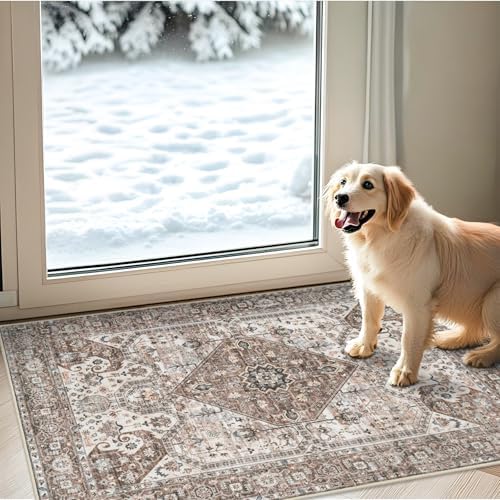 Washable 2x3 Entryway Area Rug: Vintage Non-Slip Backing Rugs by HYHAOYUNLAI