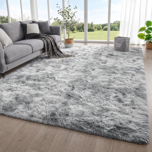 Area Rugs for Bedroom Living Room, Fluffy 4x6 Tie-Dye Light Grey Shag Rug by ONASAR