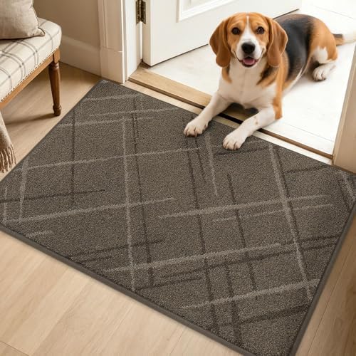 BEQHAUSE Door Mat 24" x 36", Non Slip Entryway Rugs Washable by BEQHAUSE