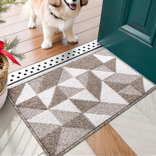 OLANLY Door Mat Indoor Entrance Washable 30x17, Odor-Free Low-Profile Front by OLANLY