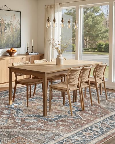 Washable Area Rug-5X7 Vintage Neutral Soft Antique Red - Image 4