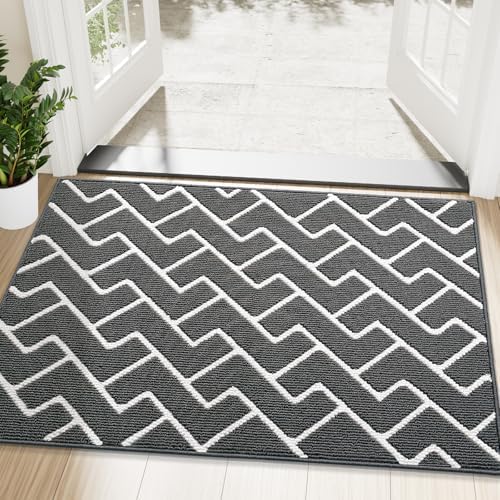 OLANLY Front Door Mat 48x32, Low-Profile Easy Clean Doormat by OLANLY