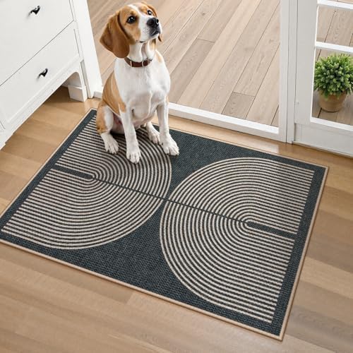 Lahome Rainbow Indoor Door Mat - Image 6
