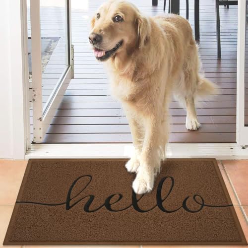 EARTHALL Door Mat Outside Inside Hello Doormat, Durable Floor Mat Non Slip Mat - Image 5