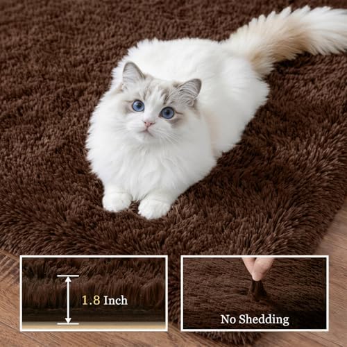 Area Rug Living Room Bedroom: 4x6 Fluffy Plush Shag Carpet Brown - Image 5