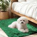 Smiry Area Rugs for Living Room Bedroom 2x3 ft, Fluffy Washable Carpet by Smiry