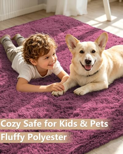 Smiry Area Rugs for Living Room Bedroom 2x3 ft, Fluffy Washable Carpet - Image 3
