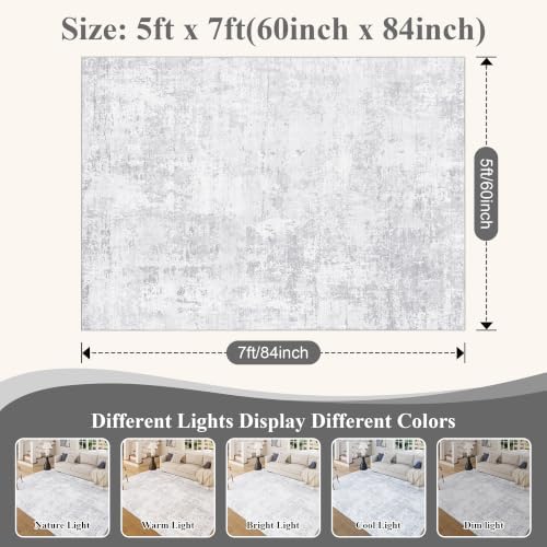 DUKINO 5x7 Area Rug for Living Room Soft Washable Abstract Rug, Light Grey - Image 2