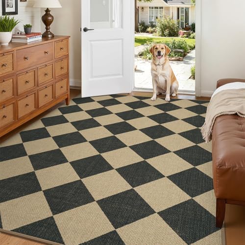 Lessymo Checkered Easy Jute 4x6 Area Rugs, Washable Rug by Lessymo