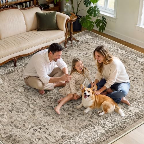 SameBed 8x10 Area Rug Living Room, Vintage Washable Carpet Brown - Image 4