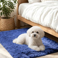 Smiry Area Rugs for Living Room Bedroom 2x3 ft, Fluffy Washable Carpet by Smiry
