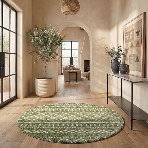 SAFAVIEH Arizona Shag Round Rug 6'7", Soft Plush Boho Green & Ivory ASG741X by Unknown