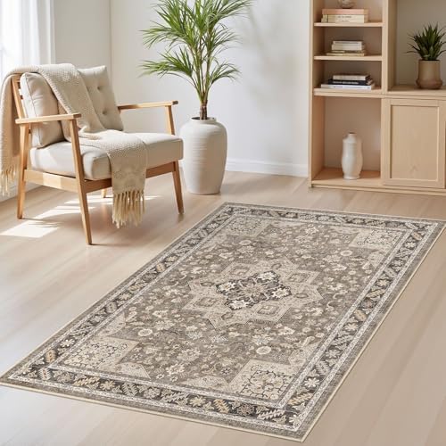 cotiled 3x5 Area Rug for Living Room, Traditional by COTILED