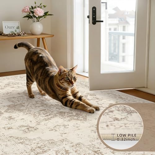 3x6 Hallway Washable Runner Rug: Kitchen Carpet Beige/Ivory - Image 5