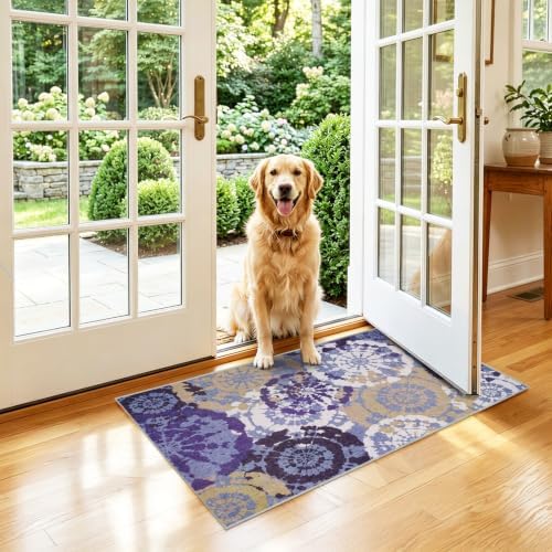 Washable 2x3 Entry Rug, Boho Modern Small Throw Rugs - Image 3