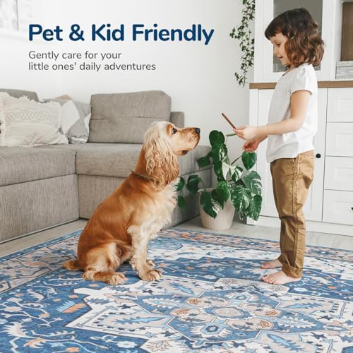 Lessymo Area Rugs 9 x 12 for Living Room, Large Washable Carpet Blue Brown - Image 4