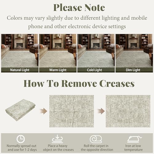 Washable Small Area Rugs for Entryway: 2x3 Door Mat Indoor Entrance - Image 6