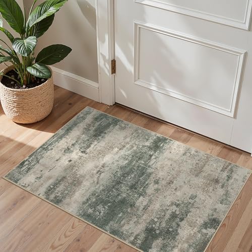 BEIMO 2x3 Area Rugs for Entryway by BEIMO