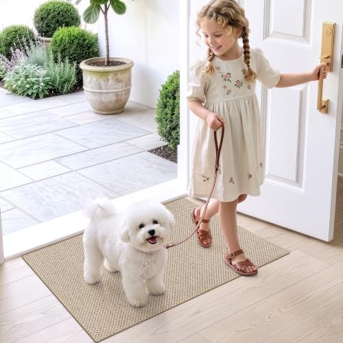 DEXI Thin Door Mat Indoor Entrance 17x30, Non Slip Entryway Mat - Image 2