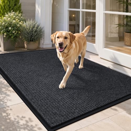 LeapYouth Front Door Mat, Absorbent Dirt Trapper Entry Mat by LeapYouth