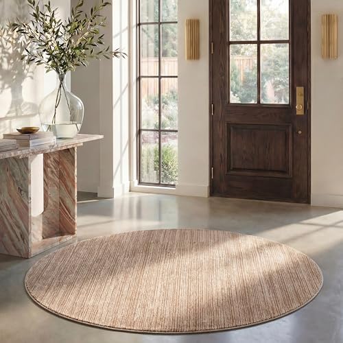 SAFAVIEH Vision Round Rug 9', Modern Tonal Light Brown VSN606C by Unknown